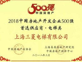 房地產(chǎn)開發(fā)企業(yè)500強首選供應商-電梯類